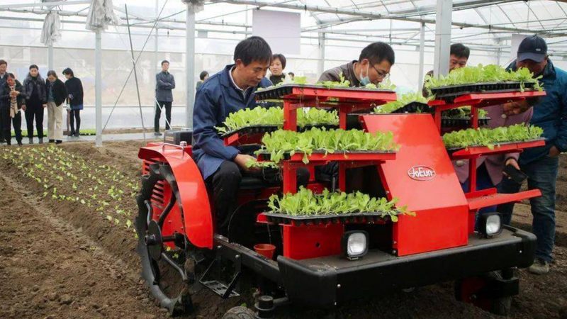 水稻脱粒机价格几何？揭秘影响价格的关键因素